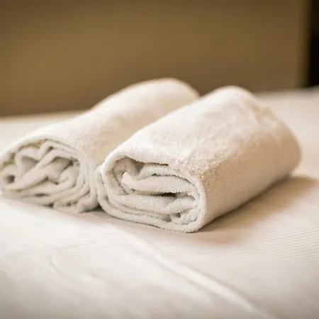 L'oiseau Blanc Un Petit Nid Proche De La Gare ! Rouen