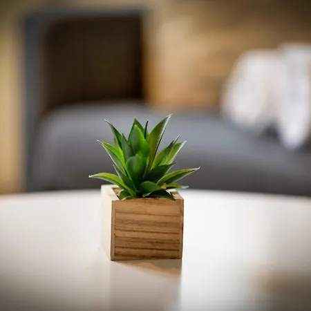 L'oiseau Blanc Un Petit Nid Proche De La Gare ! Apartman Rouen