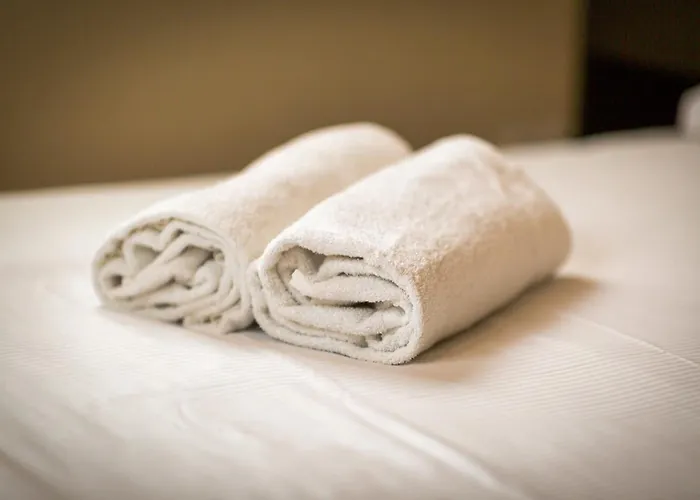 L'oiseau Blanc Un Petit Nid Proche De La Gare ! Rouen